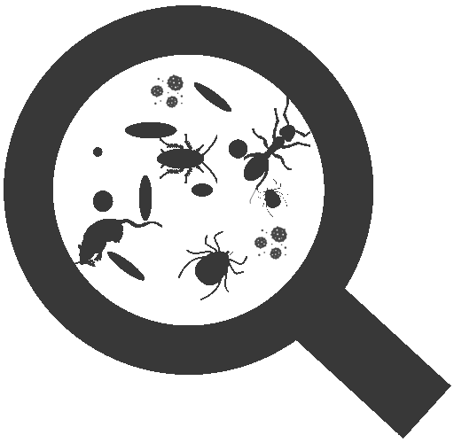 Loupe sur nuisibles - Diagnostic