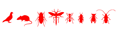 Lutte contre les insectes rongeurs et travaux de prévention marseille représenté par des icônes vectorielles de couleur rouge d'un pigeon, rat, blatte, moustique, fourmis, guêpe