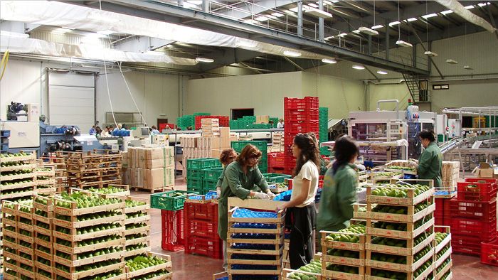 Entrpôt agroalimentaire avec cagettes de légumes