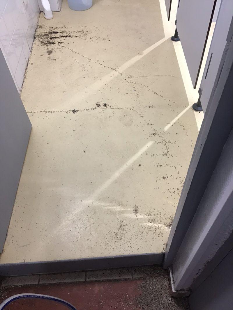 infestation de fourmis dans les douches d'un centre de vacances 