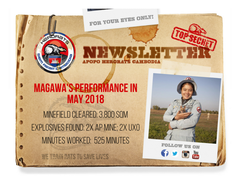 MAGAWA newsletter mai