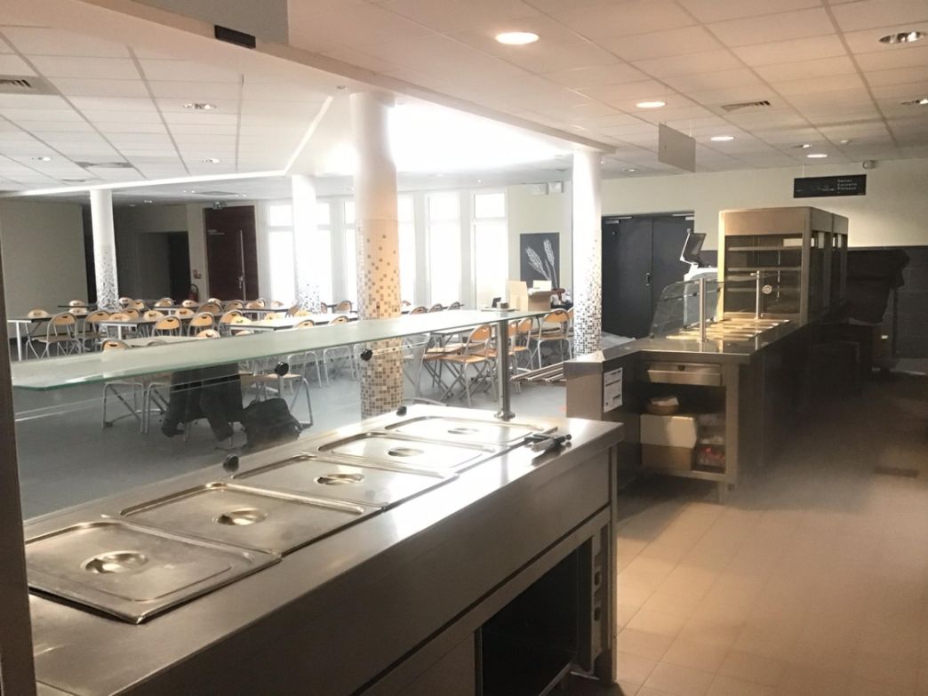 Désinsectisation de cafards dans une cantine scolaire