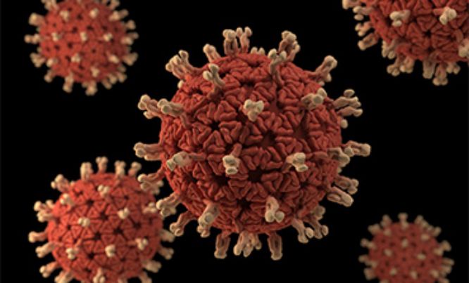 coronavirus sars cov 2