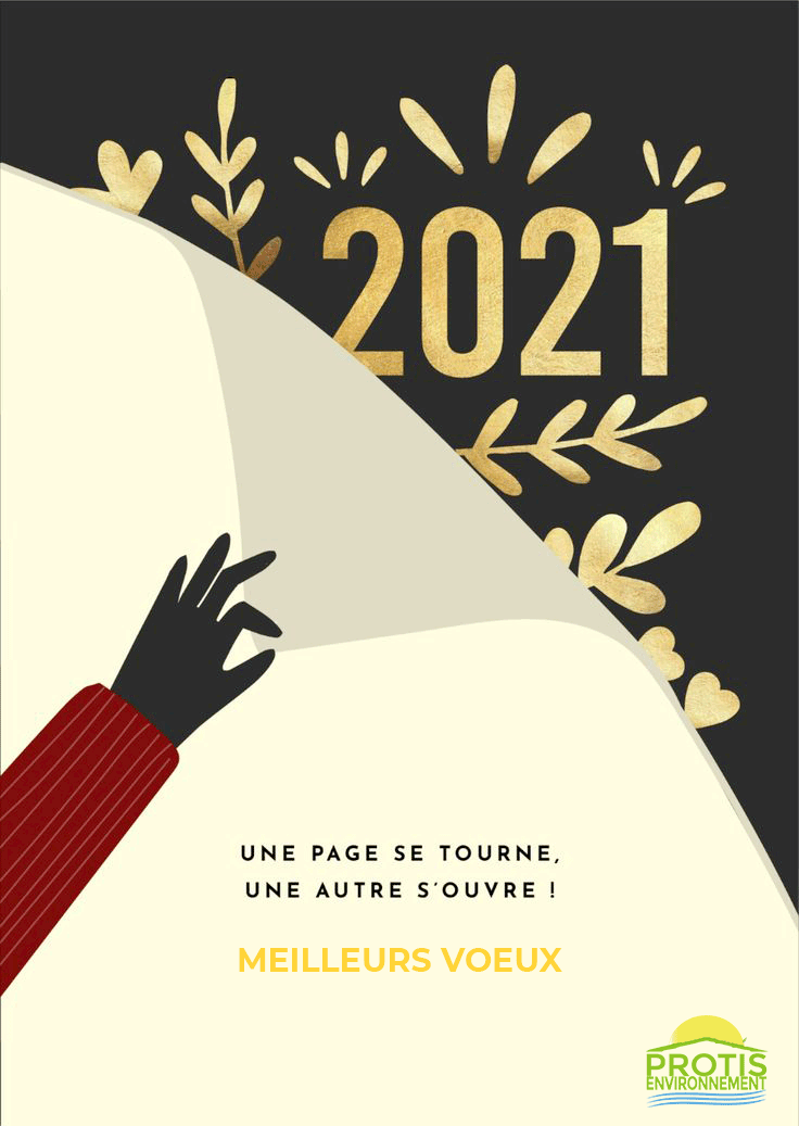 Voeux Protis 2021